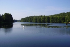 mylof_04