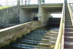 mylof_07