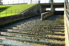 mylof_08